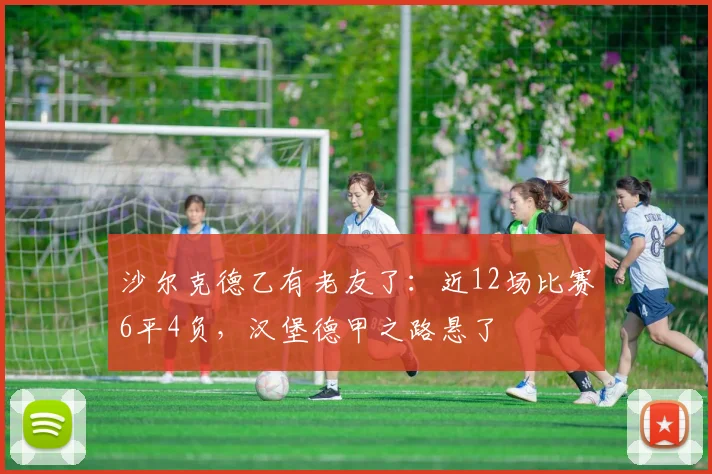 沙尔克德乙有老友了：近12场比赛6平4负，汉堡德甲之路悬了