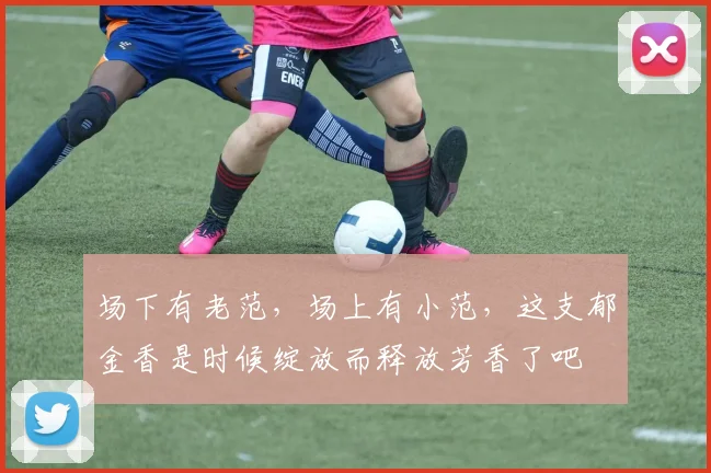 场下有老范，场上有小范，这支郁金香是时候绽放而释放芳香了吧