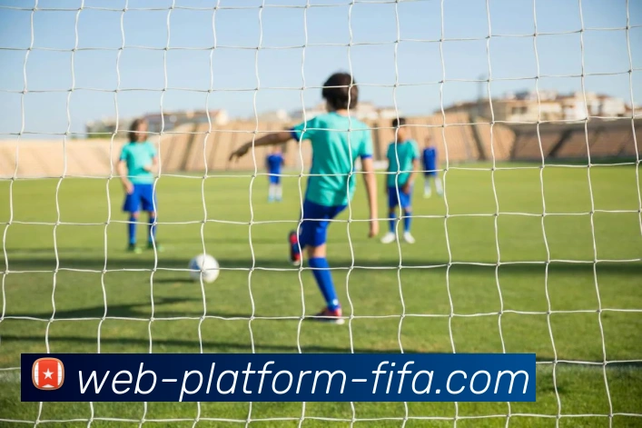 世界杯网站平台发展历程